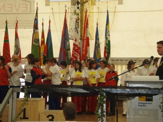 Oberwalliser Brig-Glis 2009 – Bild 13