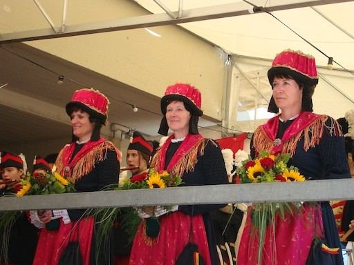 Bezirksfest Hohtenn 2010 – Bild 21