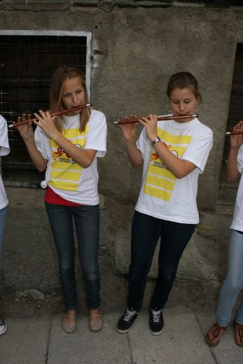 Bezirkfest Ausserberg 2011 – Bild 31
